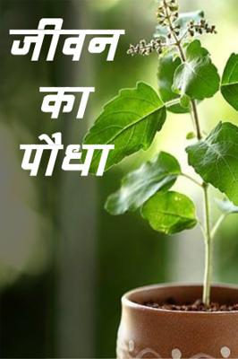 जीवन का पौधा