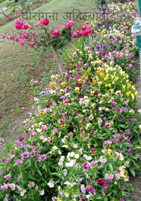 वीरांगना अहिल्याबाई