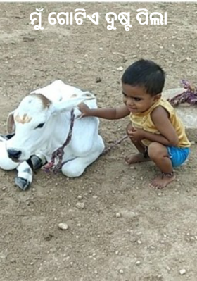 ମୁଁ ଗୋଟିଏ ଦୁଷ୍ଟ ପିଲା