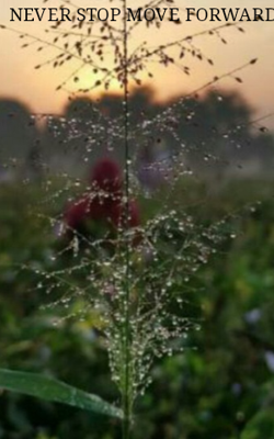 NEVER STOP MOVE FORWARD