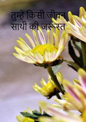 तुम्हें किसी जीवन साथी की जरूरत