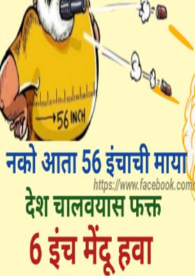 6 इंच मेंदू हवा