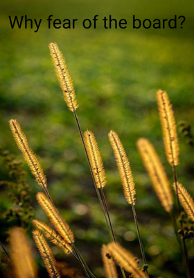 Why fear of the board?