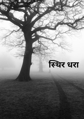 स्थिर धरा