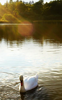 देश मेरी जान