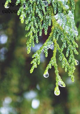 !! ଶୀତ ସକାଳ ସେଦିନର.... !!