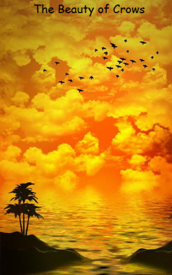 The Beauty of Crows