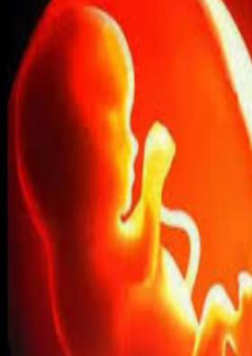 भ्रूण हत्या एक अबोध गुहार