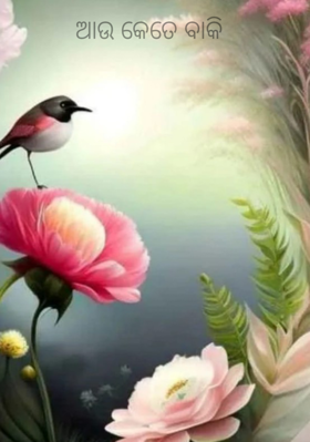 ଆଉ କେତେ ବାକି