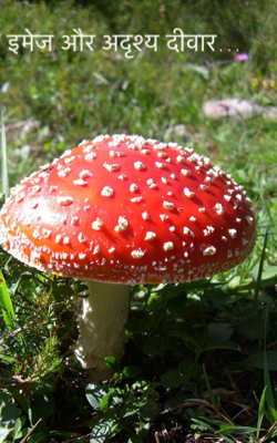 इमेज और अदृश्य दीवार…