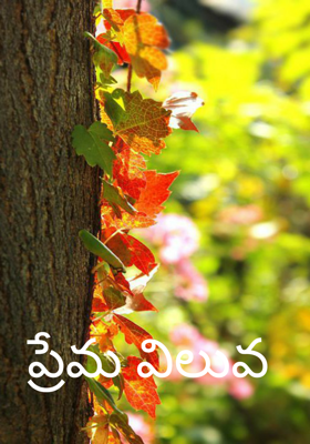 ప్రేమ విలువ