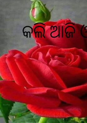 କଲି ଆଜି ଓ କାଲି