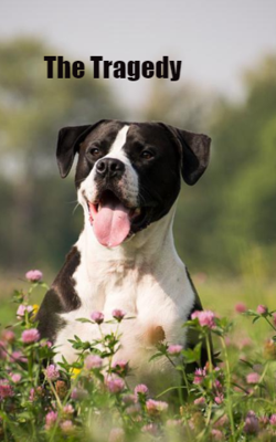 The Tragedy