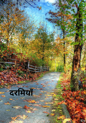 दरमियाँ