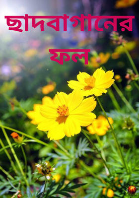 ছাদবাগানের ফল