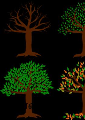 தன்னம்பிக்கை