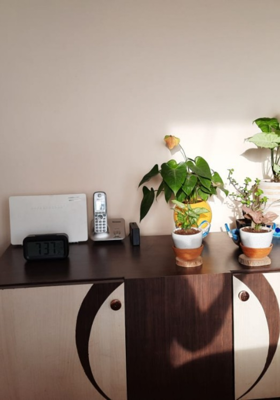 बहुभुजाधारी