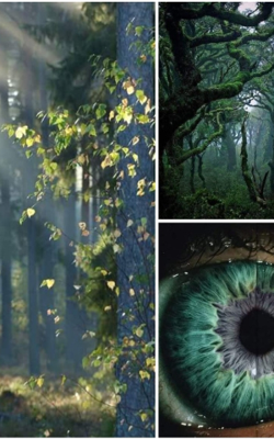 नैमिषारण्य के हृदय-स्थल से..