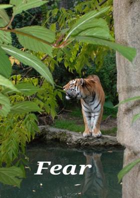 Fear