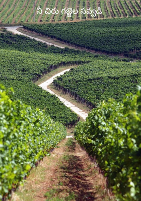 నీ చిరు గజ్జెల సవ్వడి