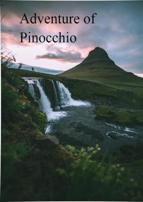 Adventure Of Pinocchio