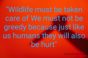 "Wildlife must be taken care of We must not be greedy because just like us humans they will also be hurt"