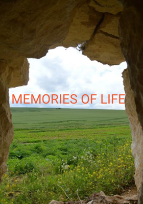 MEMORIES OF LIFE