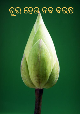 ଶୁଭ ହେଉ ନବ ବରଷ