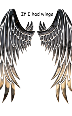 If I had wings
