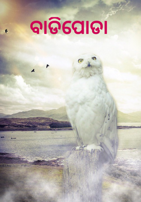 ବାଡିପୋଡା