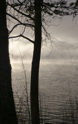 સૂર્ય પ્રકાશ