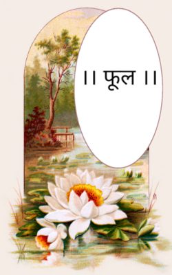 ।। फूल ।।