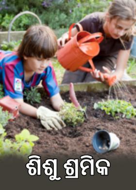 ଶିଶୁ ଶ୍ରମିକ