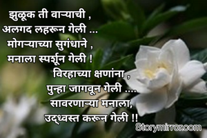 झुळूक ती वाऱ्याची ,
अलगद लहरून गेली ...
मोगऱ्याच्या सुगंधाने ,
मनाला स्पर्शून गेली !
                            विरहाच्या क्षणांना ,
                            पुन्हा जागवून गेली ....
                            सावरणाऱ्या मनाला,
                            उद्ध्वस्त करून गेली !!
