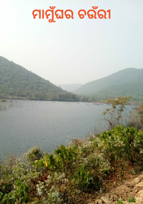 ମାମୁଁଘର ଚଉଁରୀ