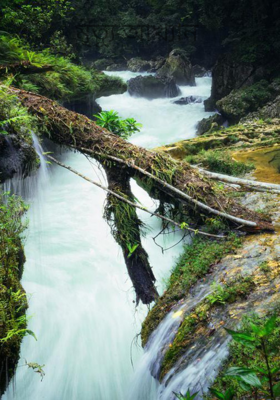 মৃত্যু আখ্যান