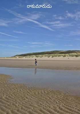 రాకుమారుడు