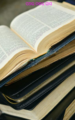 ପଥର ତଳର ଘାସ