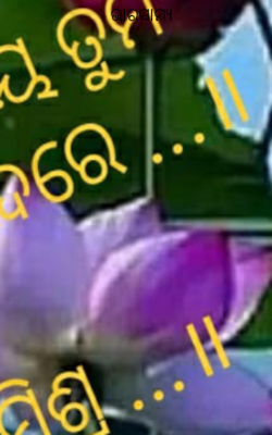 ଭାରସାମ୍ୟ