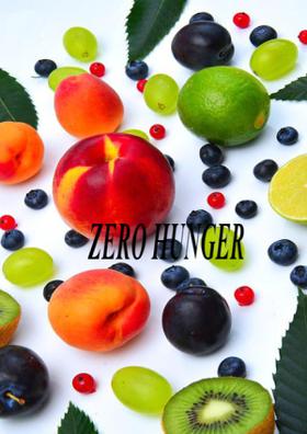 Zero Hunger