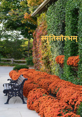 स्मृतिसौरभम्