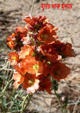হৃদয় থাক হৃদয়ে