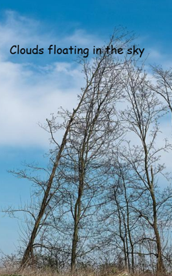 Clouds floating in the sky 