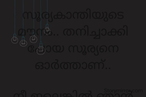 സൂര്യകാന്തിയുടെ മൗനം.. തനിച്ചാക്കി പോയ സൂര്യനെ ഓർത്താണ്..

നീ ഇല്ലെങ്കിൽ ഞാൻ വാടി തളർന്നു വീഴും..