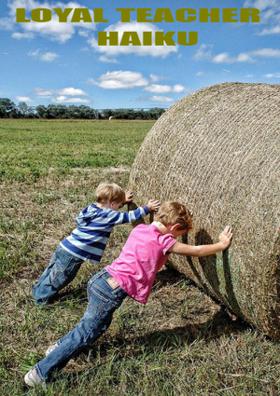 Loyal Teacher (Haiku)