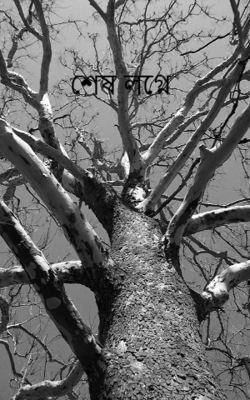 শেষ লগ্নে