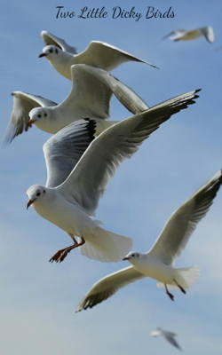 Two Little Dicky Birds