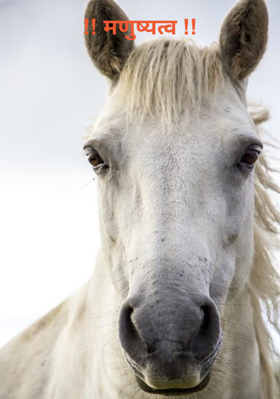 मणुष्यत्व