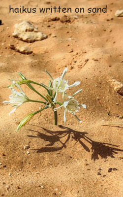 haikus written on sand