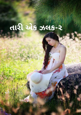 તારી એક ઝલક - ૨